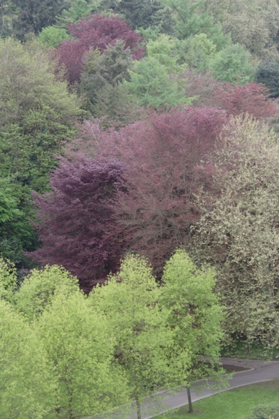 LUSSEMBURGO_2015_103