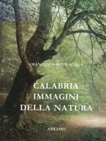 WEB_LIBRI_ITA_CALABRIA_002