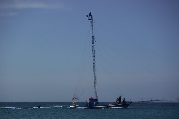 WEB_SICILIA_20050604_ME