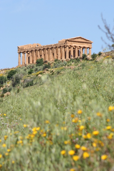 WEB_SICILIA_20090502_AG