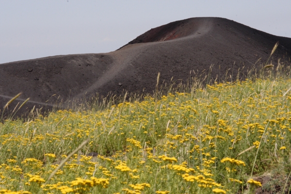 WEB_SICILIA_CT_201508_101