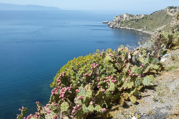 WEB_SICILIA_ME_201504_201