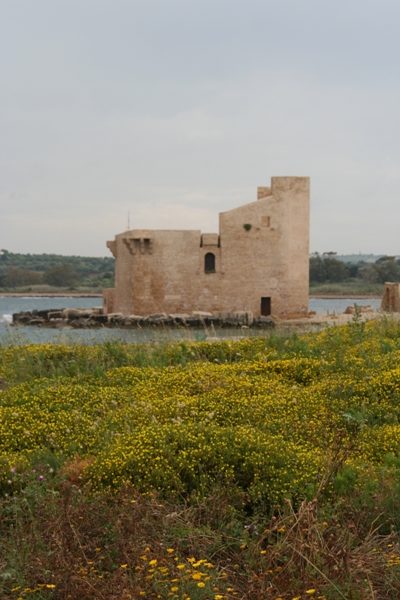 WEB_SICILIA_SR_201105_102