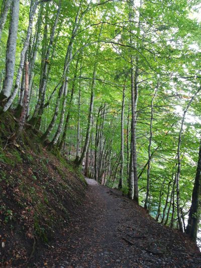 WEB_SVIZZERA_20200913_2